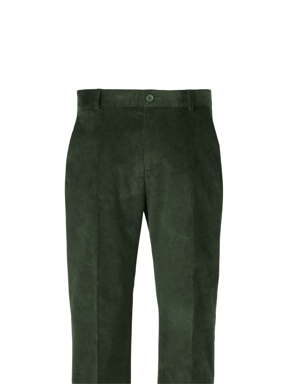 Cotton Stretch Corduroy Pants - Burgundy - Image 3