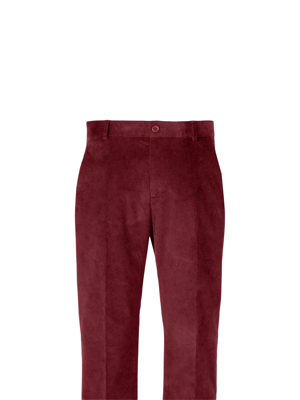 Cotton Stretch Corduroy Pants - Winter White - Image 2