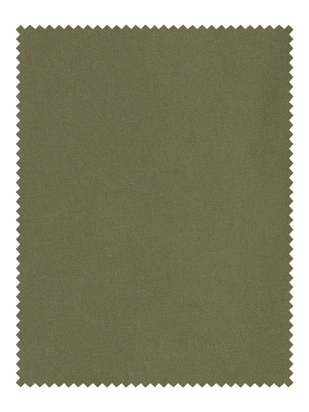 Cotton Stretch Twill Pants - Olive - Image 3