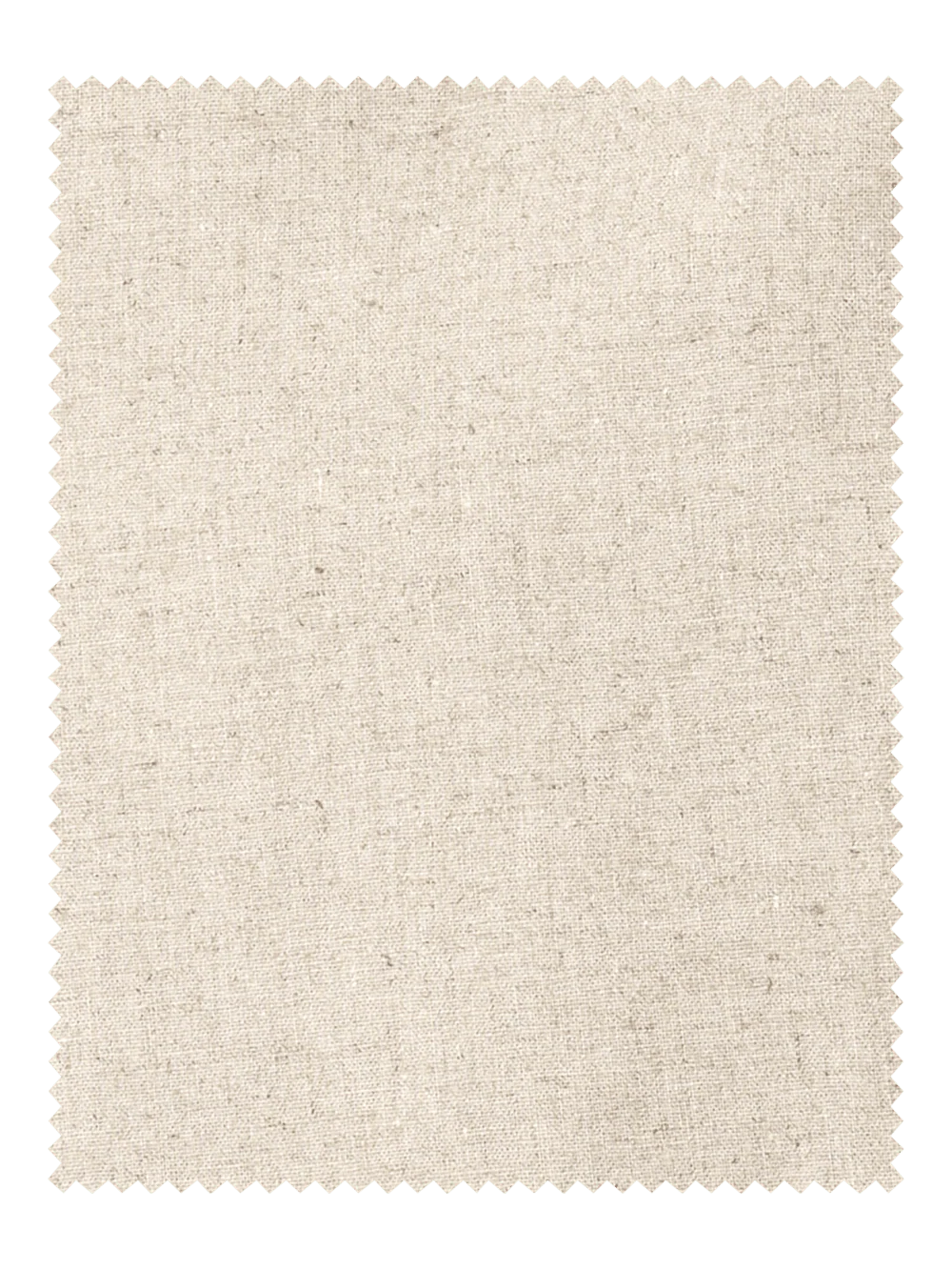 Linen / Cotton Shorts - Ivory - Image 5